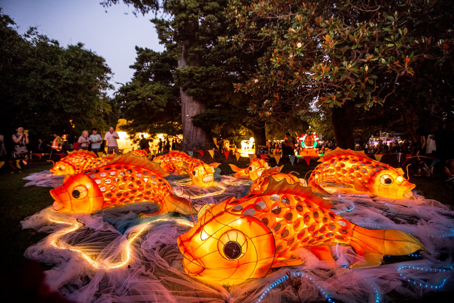 BNZ Auckland Lantern Festival 2225 Feb 2024 Auckland, New Zealand